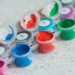 Paints Insurance Program