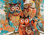 VIVA™ DIY Painting By Numbers -  Colorful Owls (16"x20" / 40x50cm)