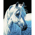 VIVA™ DIY Painting By Numbers - White Horse (16"x20" / 40x50cm)