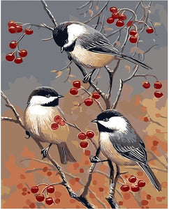 VIVA™ DIY Painting By Numbers -  Birds On A Branch(16"x20" / 40x50cm)