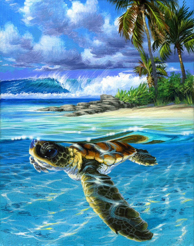 Dive into the Ocean's Wonders with VIVA™ DIY Painting By Numbers - Sea Turtle (16"x20" / 40x50cm), A Soothing and Inspiring Art Journey