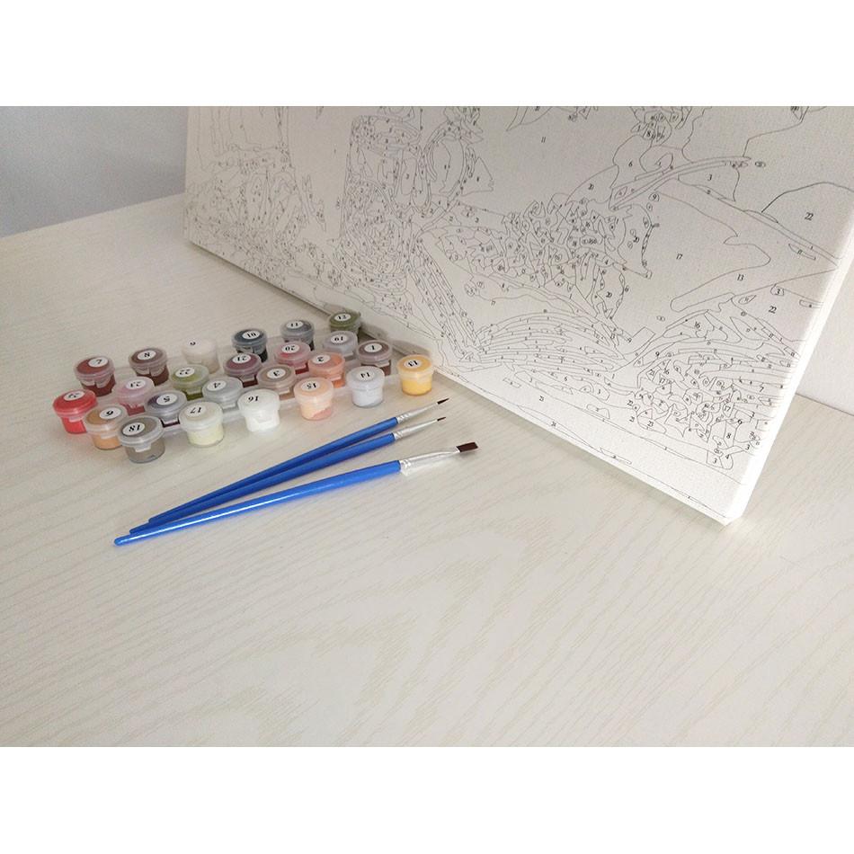 VIVA™ DIY Painting By Numbers - Koi (16"x20" / 40x50cm)