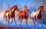 VIVA™ DIY Painting By Numbers - Horses (16"x20" / 40x50cm)