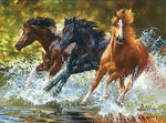 VIVA™ DIY Painting By Numbers - Wild Stallions in the Creek (16"x20" / 40x50cm)