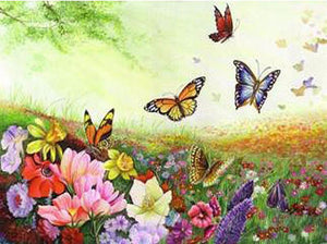 VIVA™ DIY Painting By Numbers - Butterflies (16"x20" / 40x50cm)