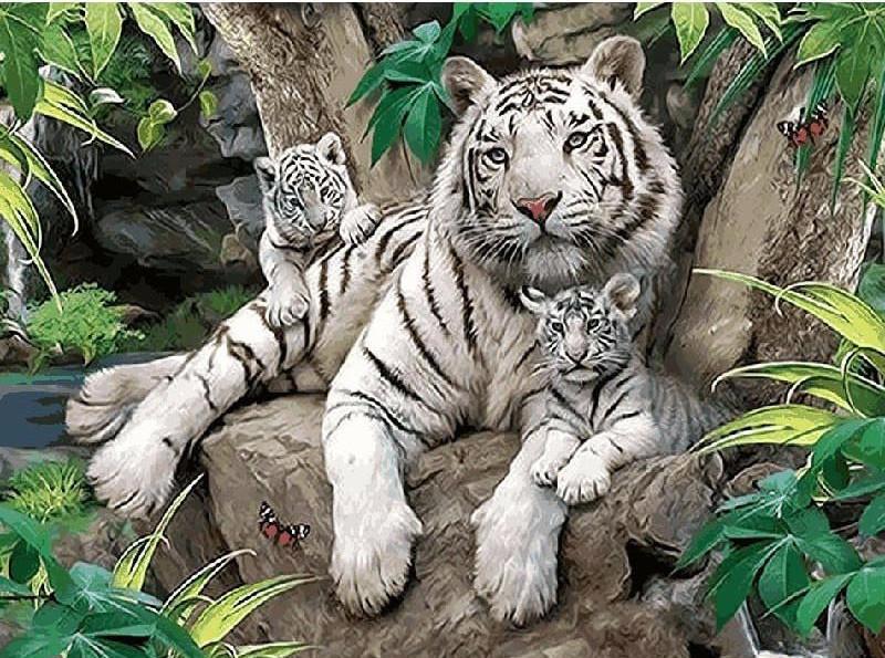 VIVA™ DIY Painting By Numbers - White Tigers (16"x20" / 40x50cm)