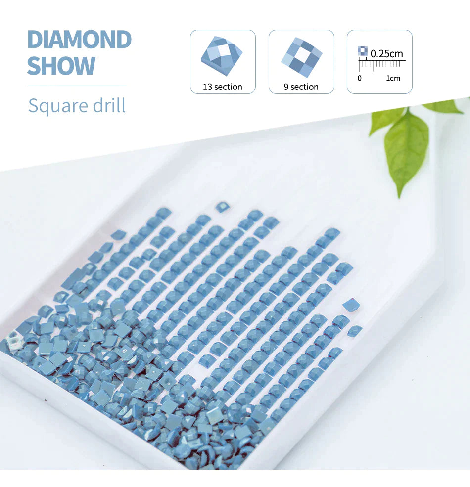 Create, Relax & Inspire: Ballet Elegance - A Soothing DIY Art Experience