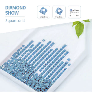Create, Relax & Inspire: Ballet Elegance - A Soothing DIY Art Experience