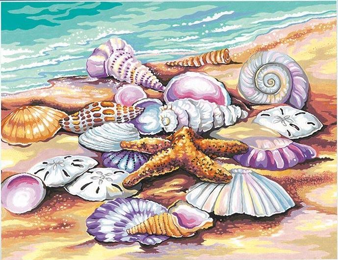 VIVA™ DIY Painting By Numbers -Shells  (16"x20" / 40x50cm)