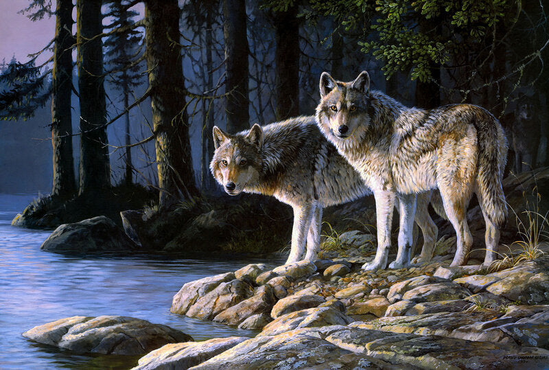 VIVA™ DIY Painting By Numbers - Wolf By The River(16"x20" / 40x50cm)