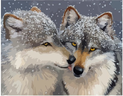 VIVA™ DIY Painting By Numbers -Two Wolves (16"x20" / 40x50cm)