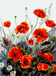 VIVA™ DIY Painting By Numbers - Poppy Perfection (16"x20" / 40x50cm)